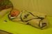 Alex I like your blanket! Nice nap in it .....